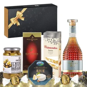 Подаръчна кутия с бренди Torres Superior Brandy 20YO